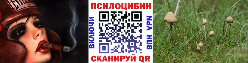 Галлюциногенные грибы Cubensis  Купить закладки  Геленджик 